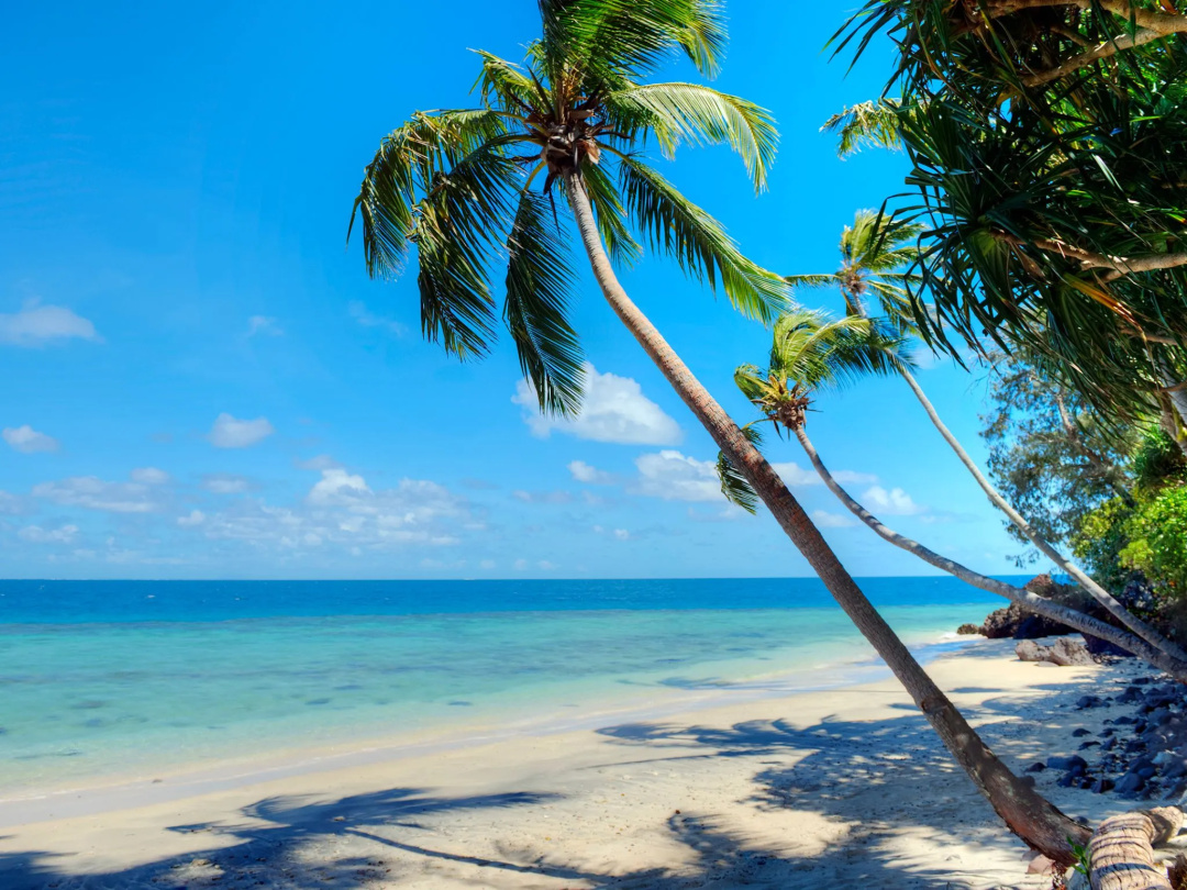 Royal Davui Island Resort — the beach