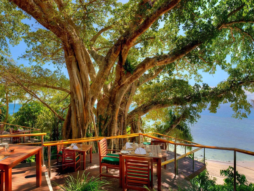 Royal Davui Island Resort — the grounds