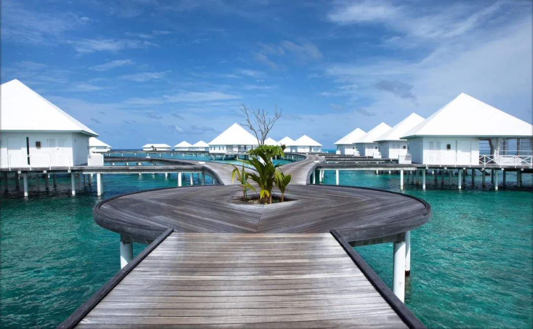 Diamonds Thudufushi Maldives Resort & Spa — the pool