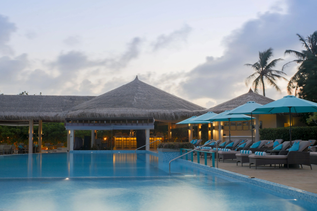 Cocoon Maldives — the pool