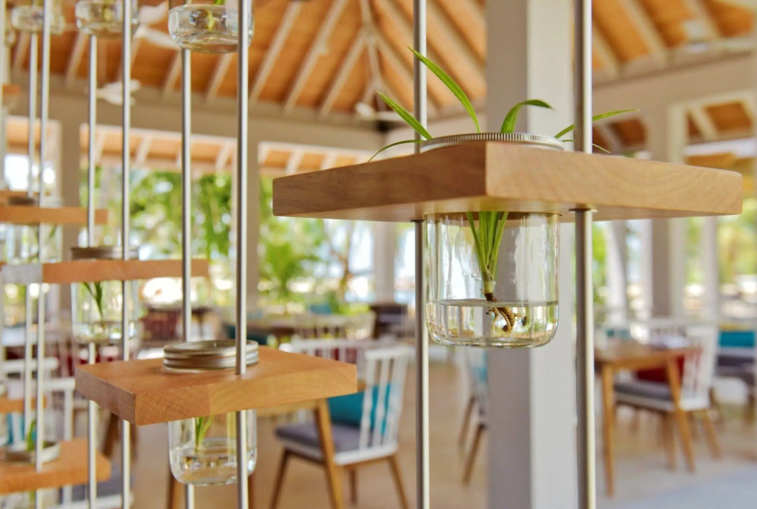 Dhigali Maldives — the food
