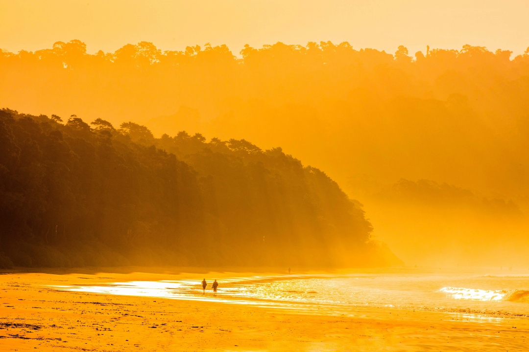 Taj Exotica Resort & Spa, Andamans — the beach