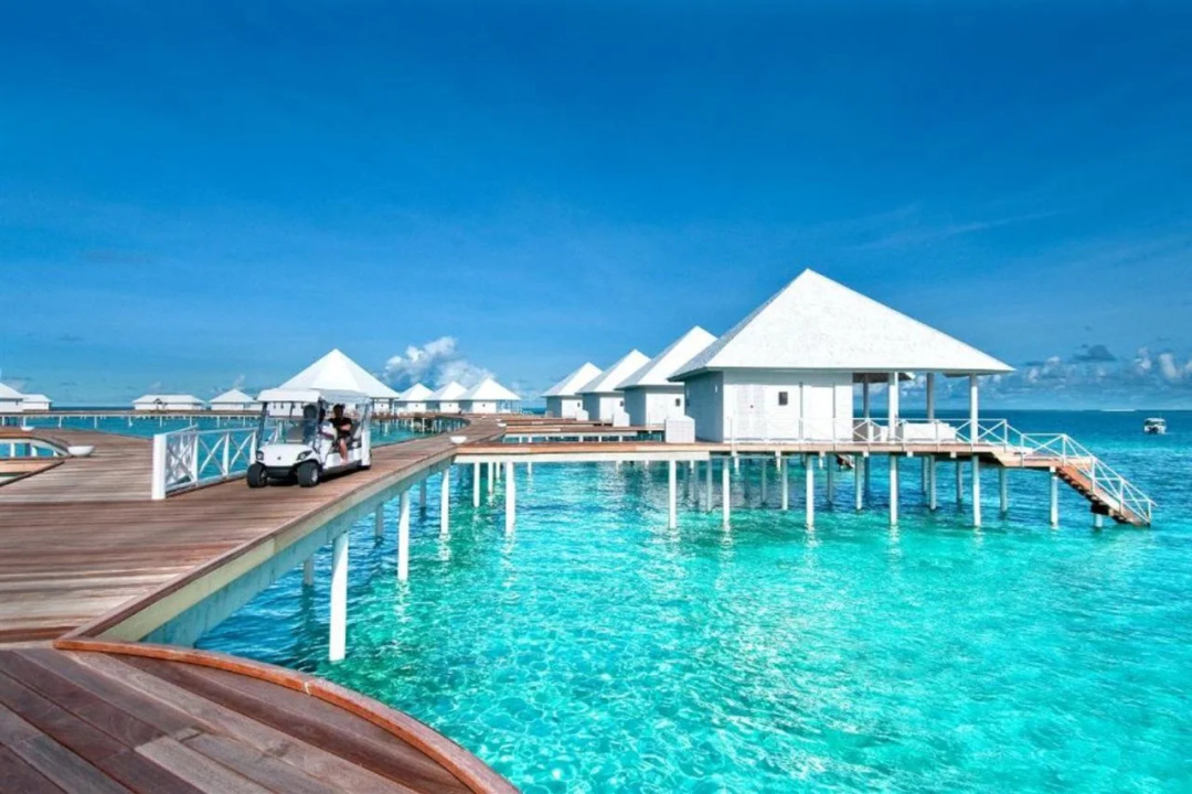 Diamonds Thudufushi Maldives Resort & Spa — the pool