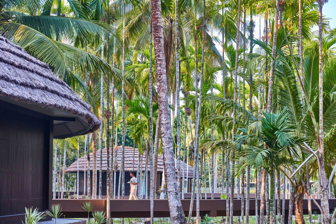 Taj Exotica Resort & Spa, Andamans — the grounds