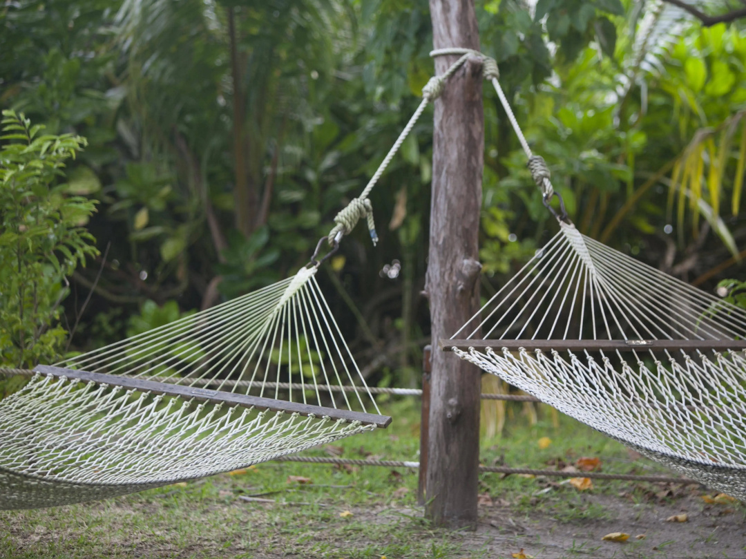 Dhevatara Beach Hotel — the grounds