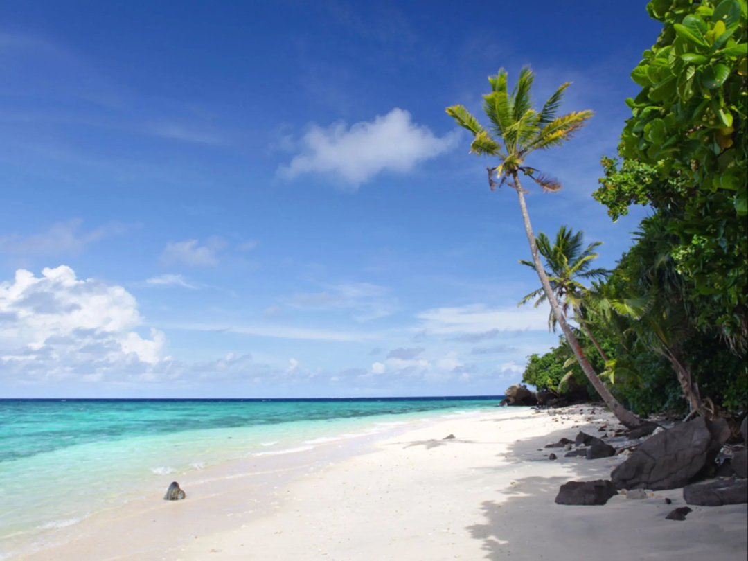 Royal Davui Island Resort — the beach