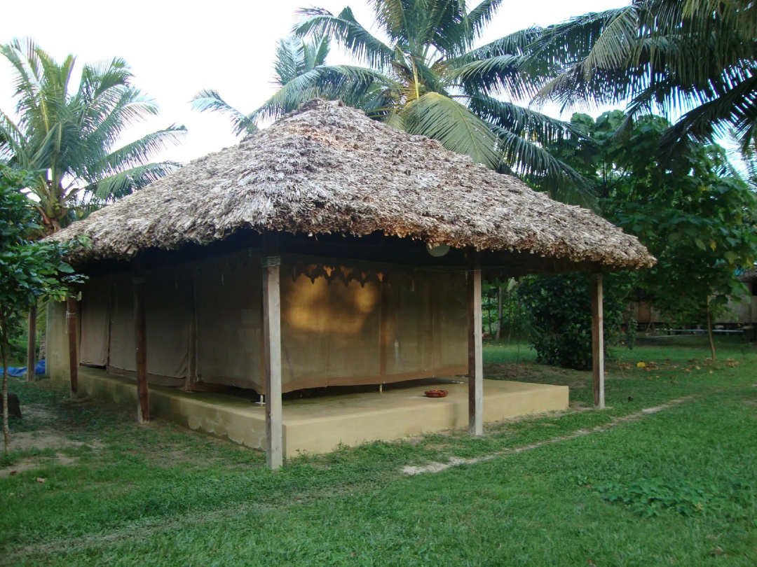 Barefoot at Havelock — the grounds