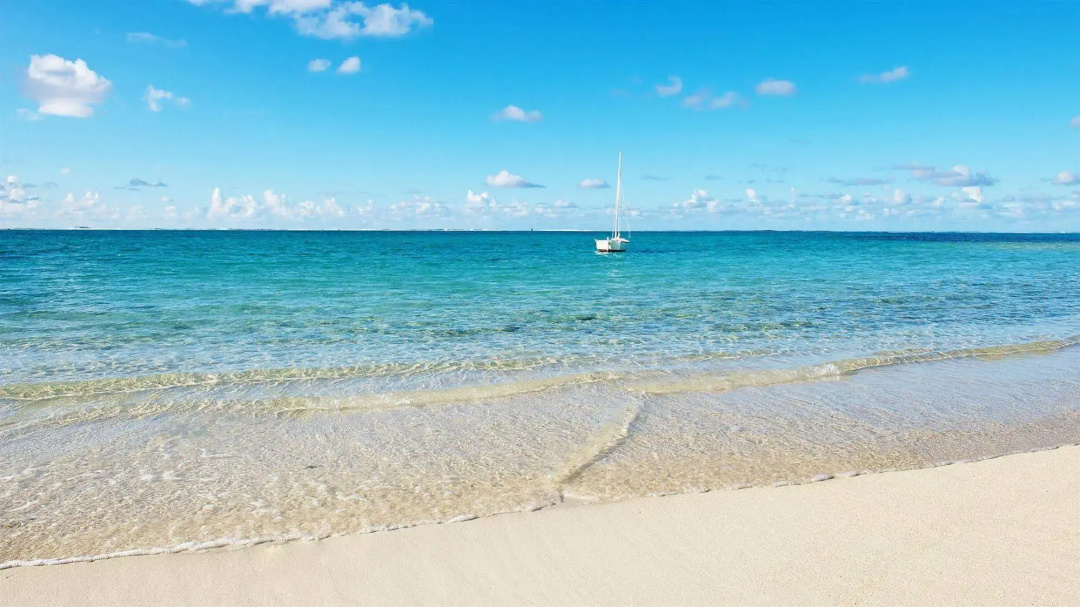 Paradise Beach by Horizon Holidays — the beach