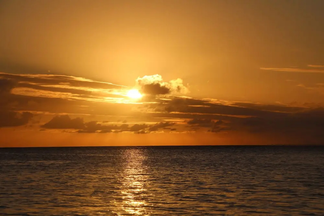 Crowne Plaza Fiji Nadi Bay Resort & Spa by IHG — the beach