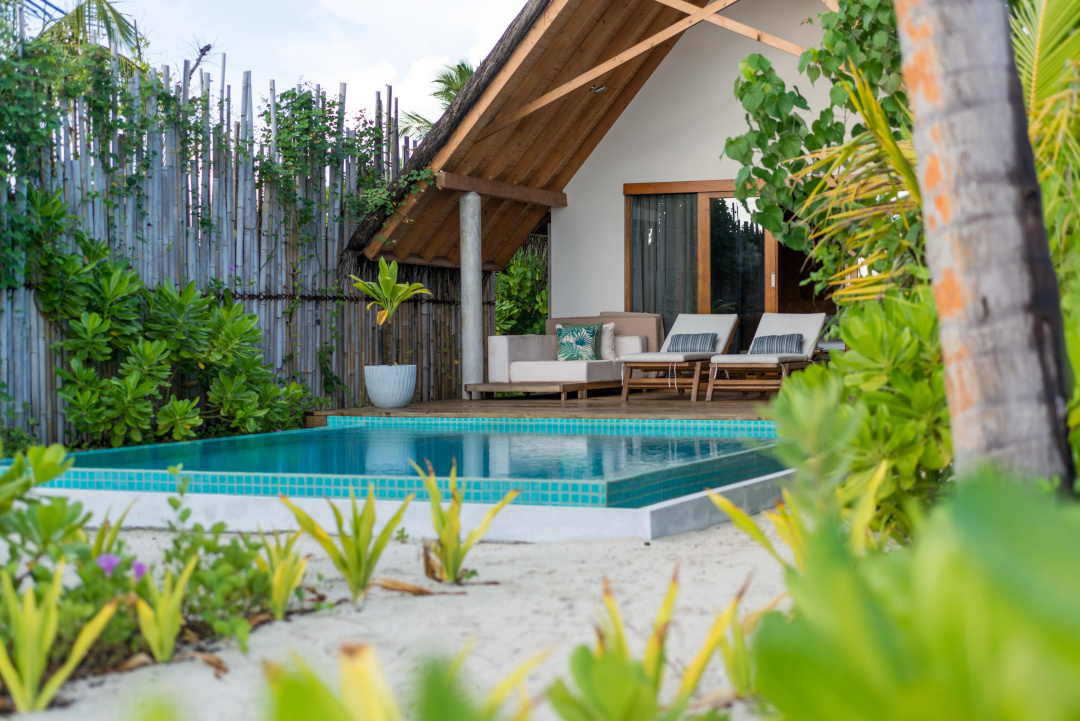 Fushifaru Maldives Resort — the pool