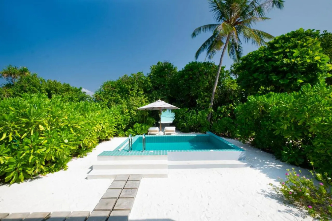 Ifuru Island Maldives — the pool