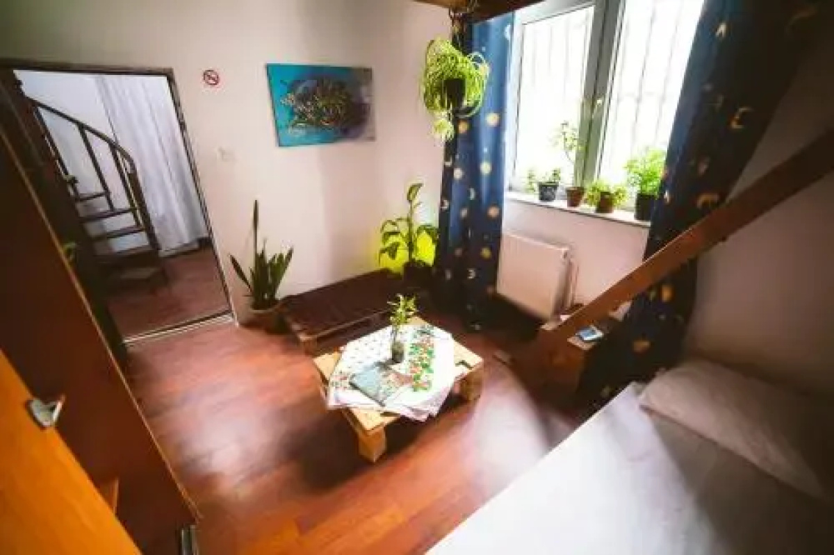 Zion Hostel