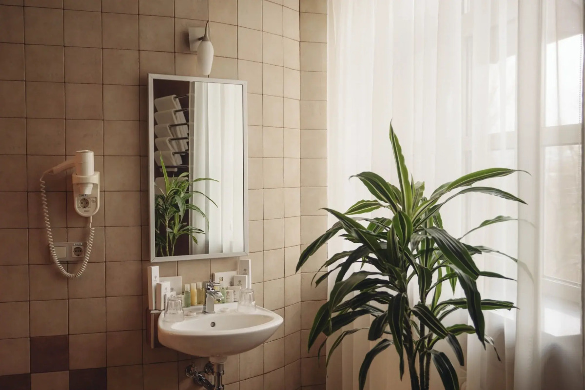 Парк-отель «Голосеево»