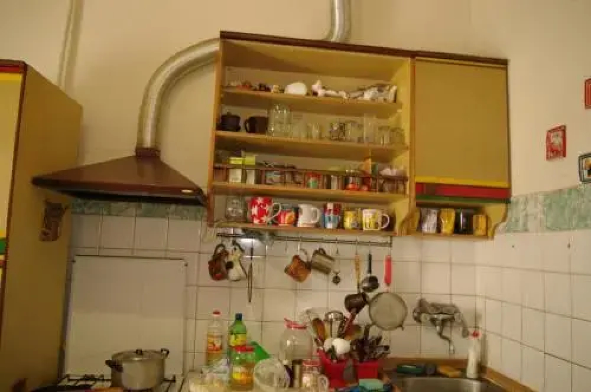 Cat's house Хостел