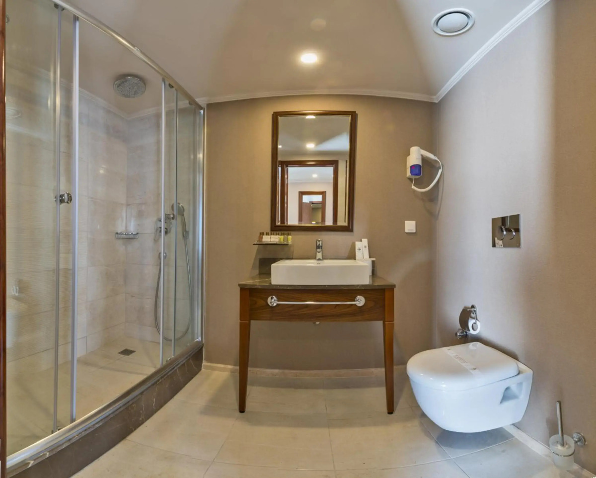 The Artisan Hotel Istanbul - MGallery Collection