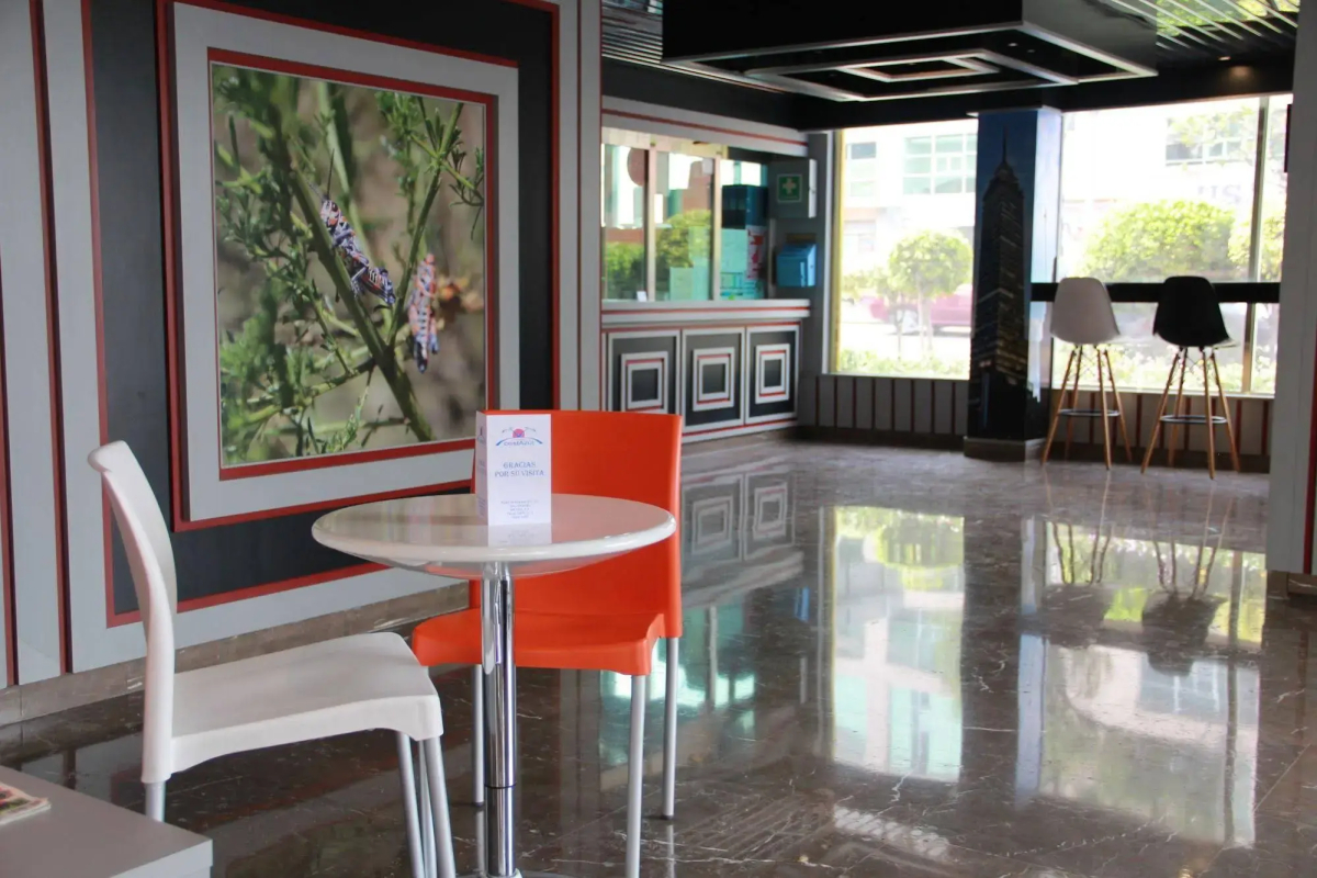 Ayenda Frida Costa Azul