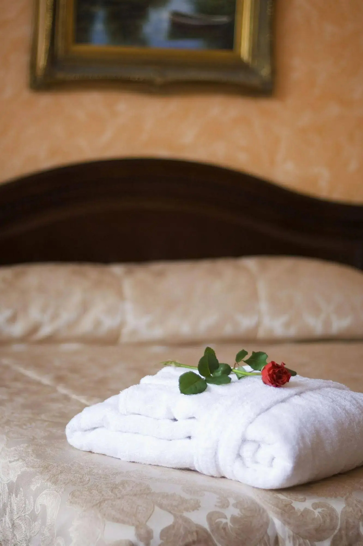 Отель «Салют»