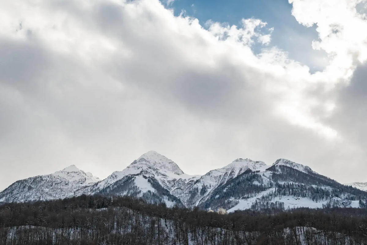 Hotel Leon (Леон)