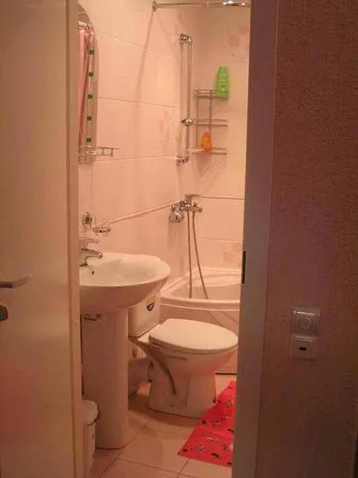 Игуана на Московском