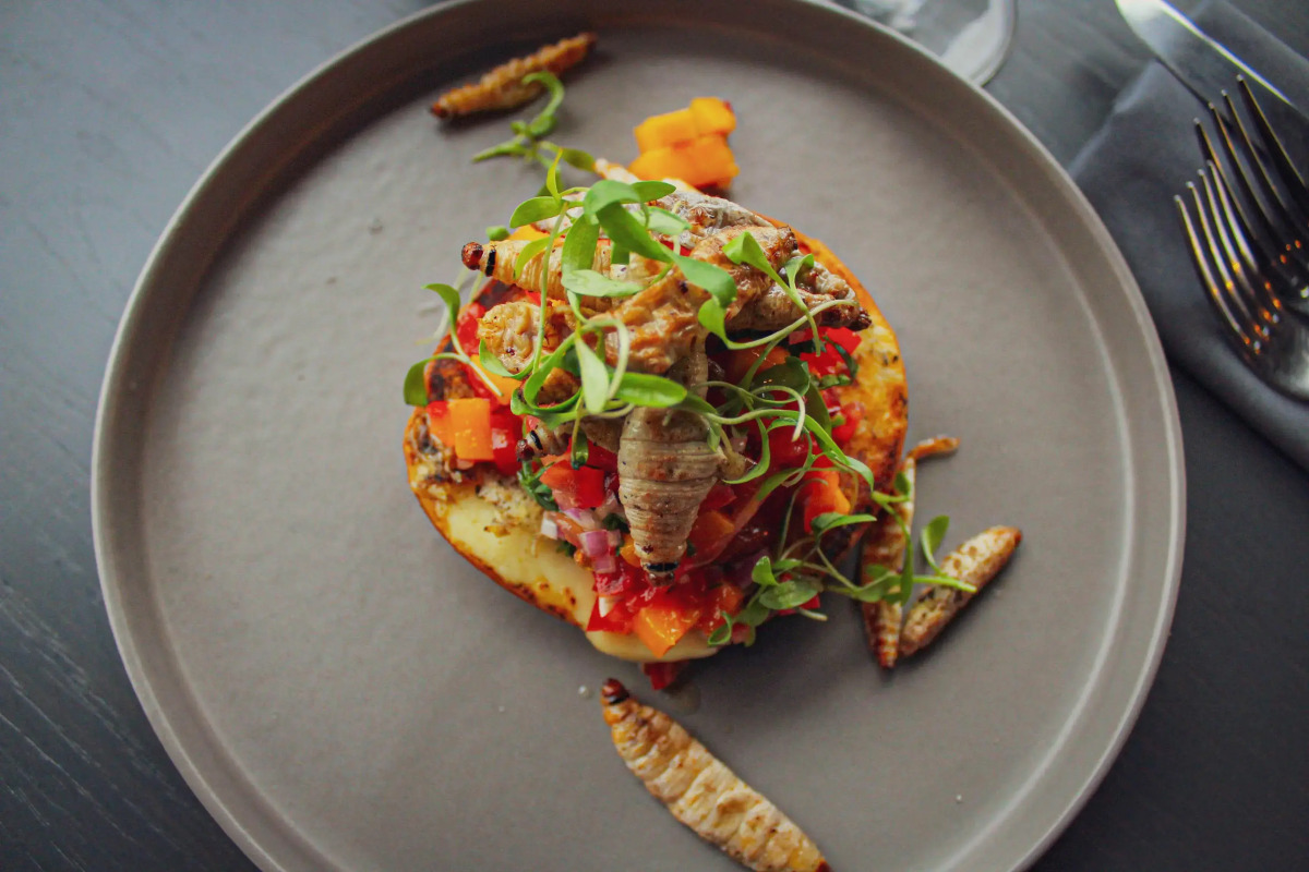 Hotel Fontan Reforma Centro Histórico