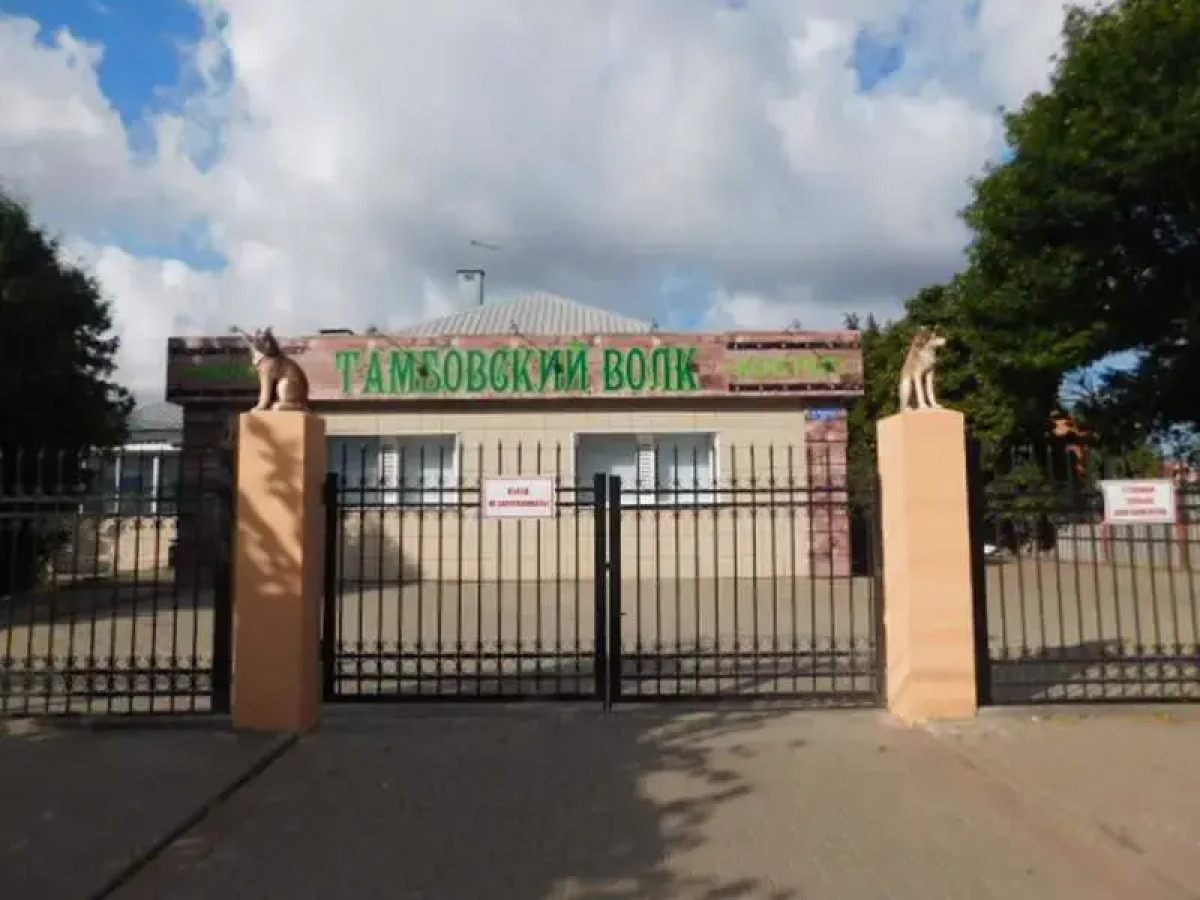 Tambovskij Volk Hostel