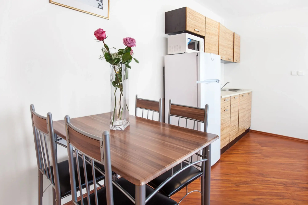 Apartment House Zizkov