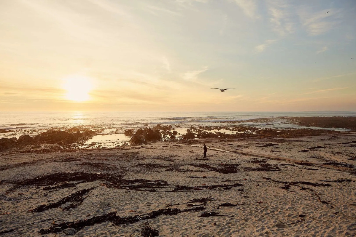 First Group Riviera Suites