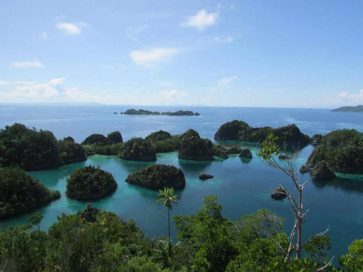 Swiss-Belhotel Sorong