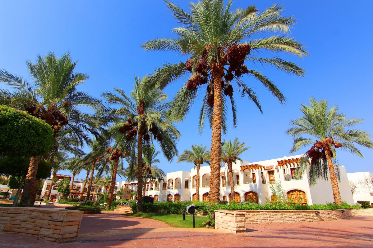 Coral Hills Resort