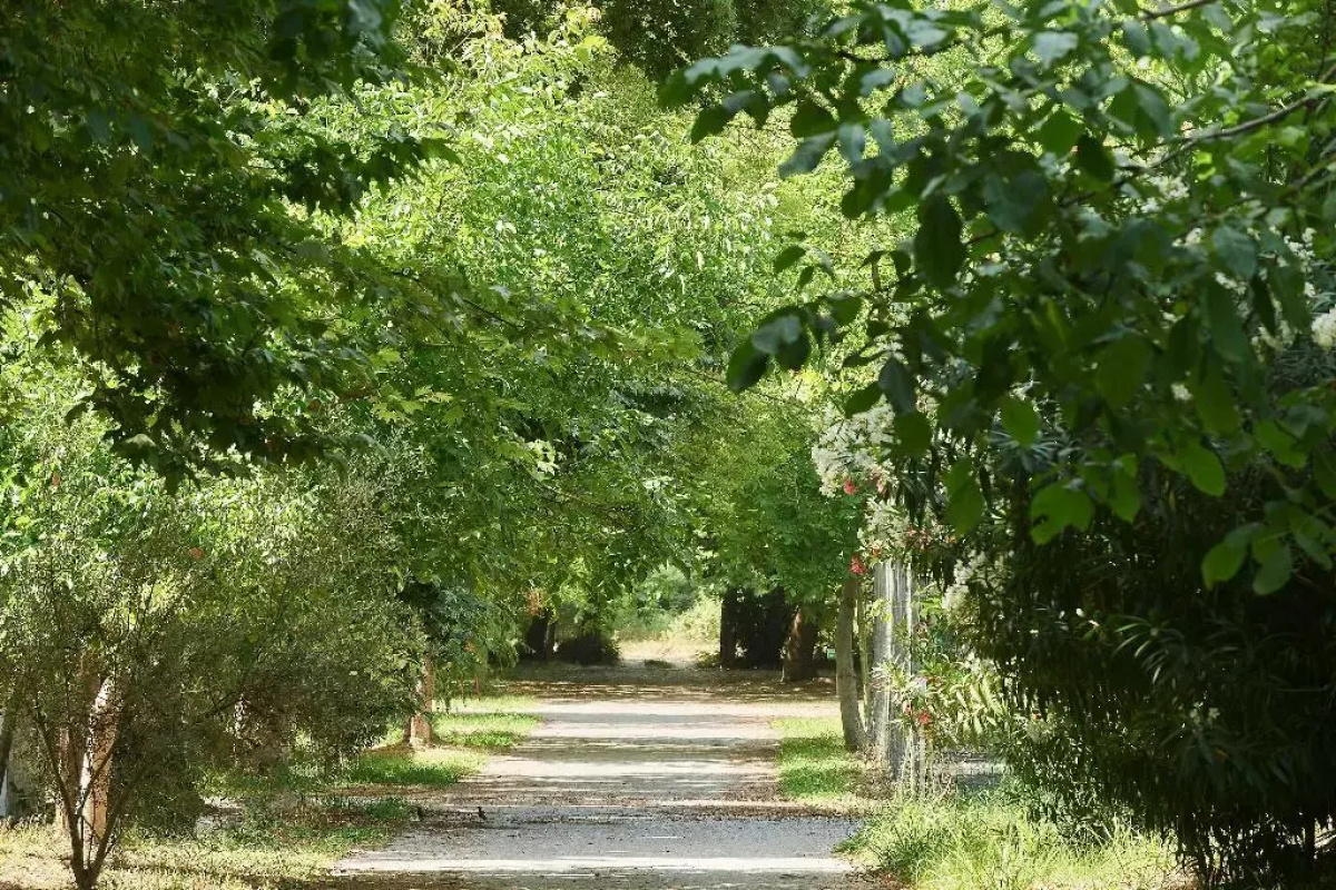 Olympios Zeus Hotel Bungalows