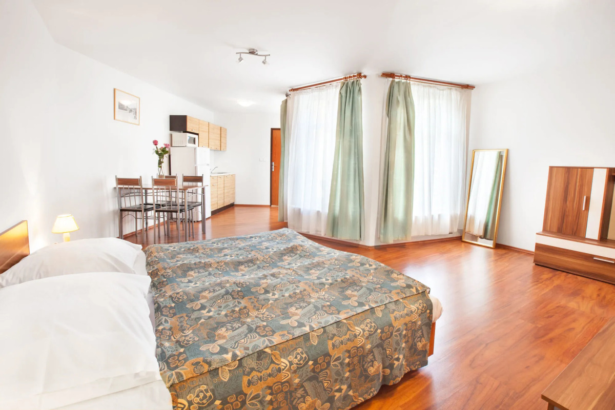 Apartment House Zizkov