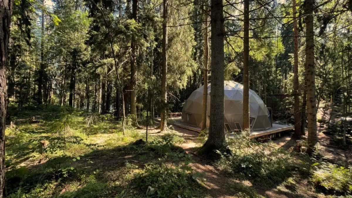 Вили Улей Карелия