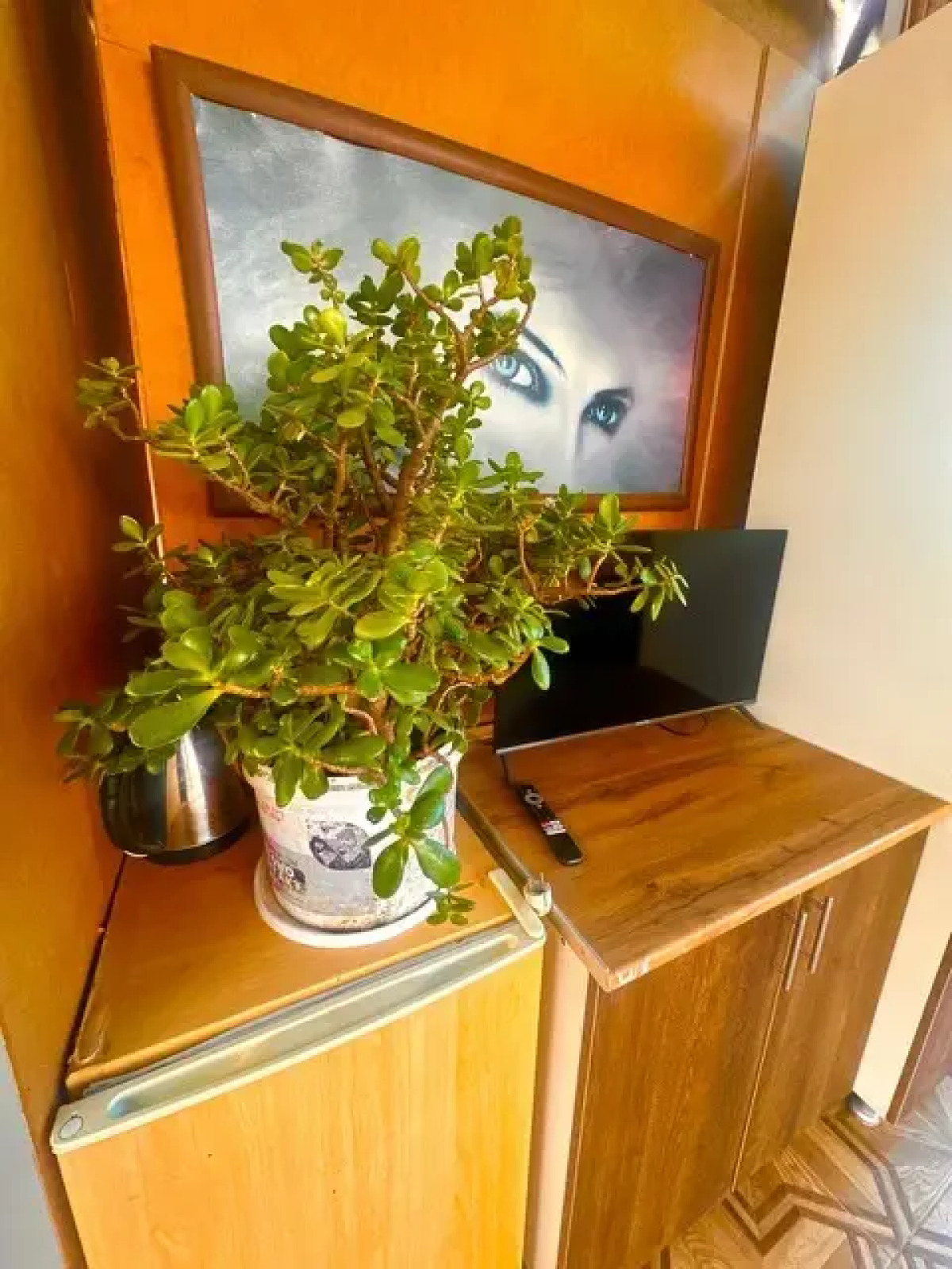 Панорама (Гагра)