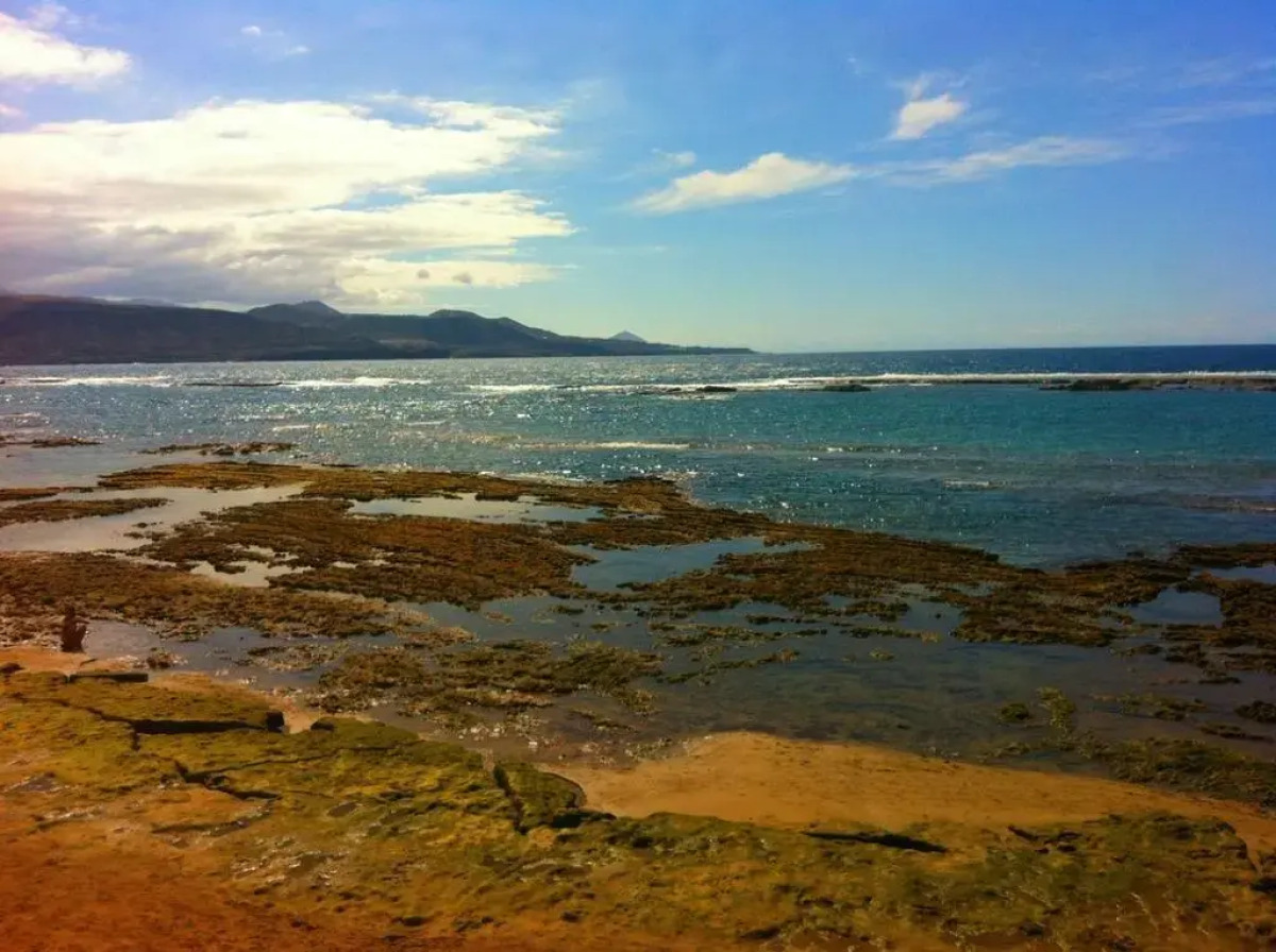 Miami Santa Catalina