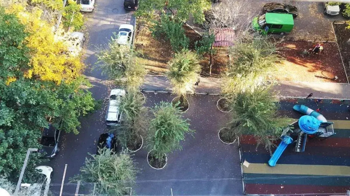 Domino Yerevan Hostel & Tours