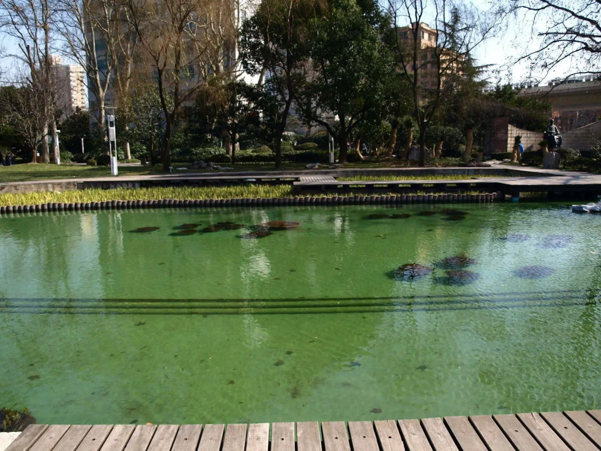 World Union Service Apartment Cosmo