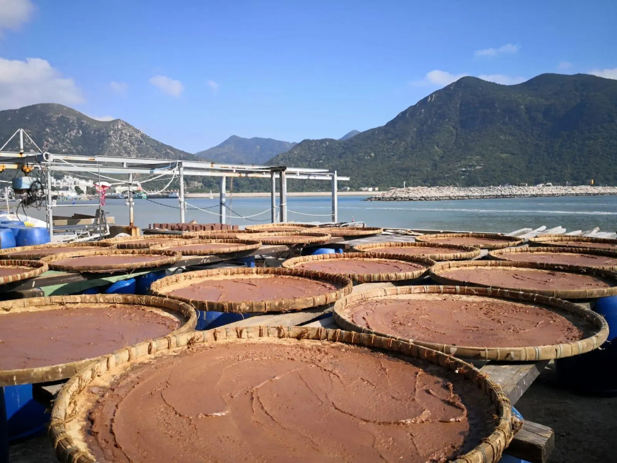 YHA Ngong Ping SG Davis Youth Hostel