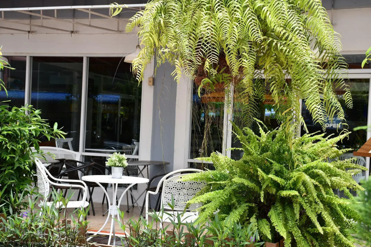 Wangcome Hotel
