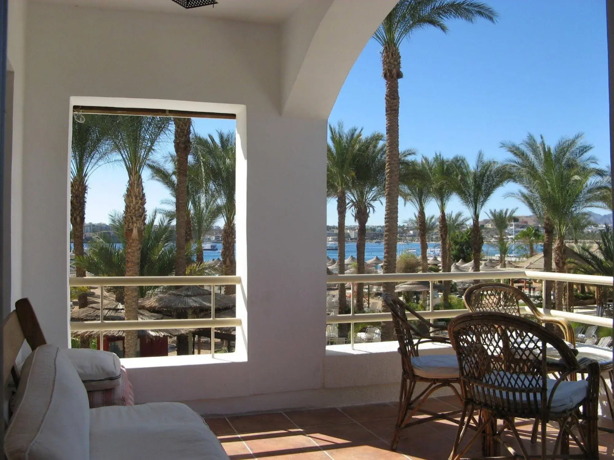 Oonas Dive Club