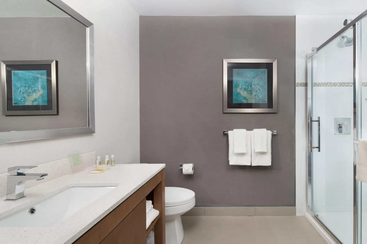 Holiday Inn Hotel & Suites Montreal Centre-ville Ouest by IHG
