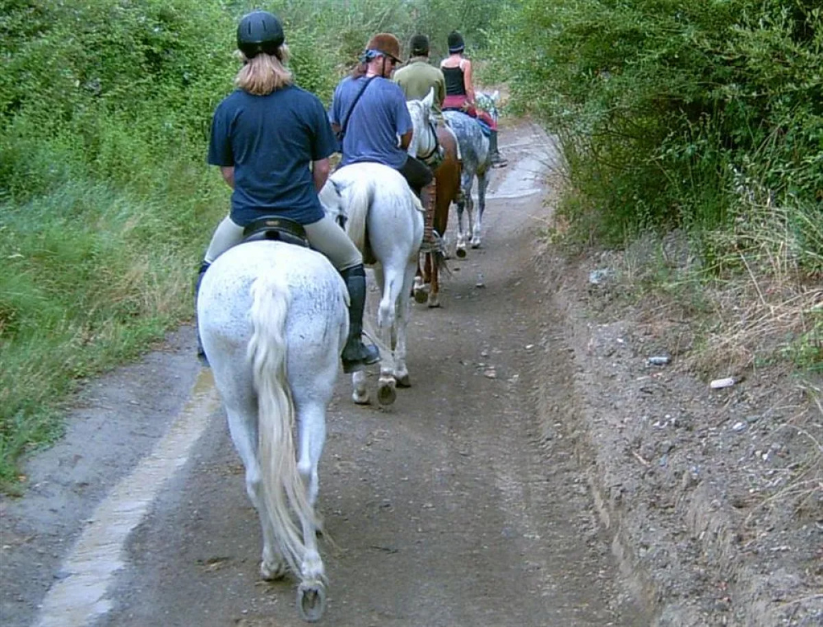 Hotel Rural Montaña de Cazorla
