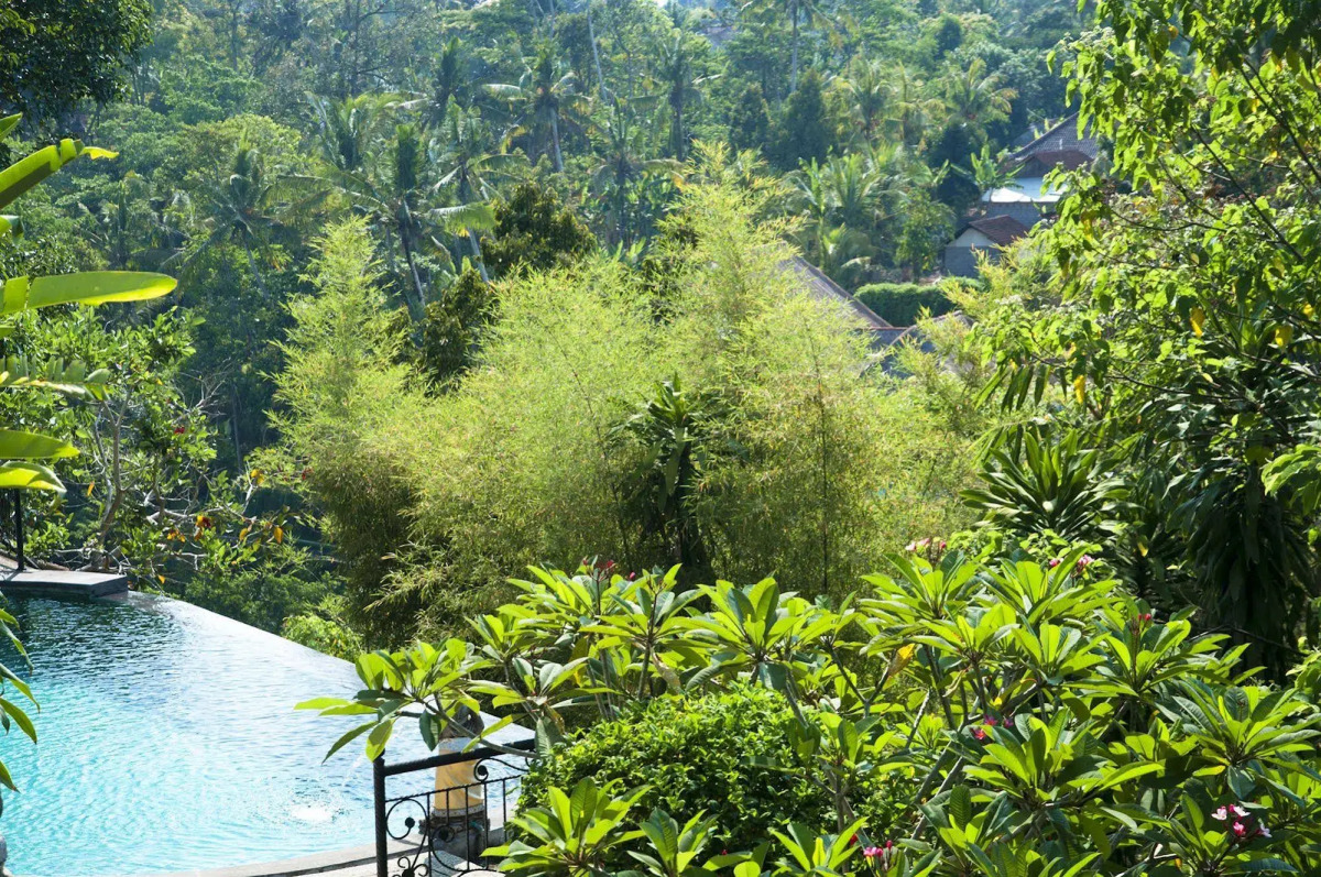 Ubud Dedari Villas