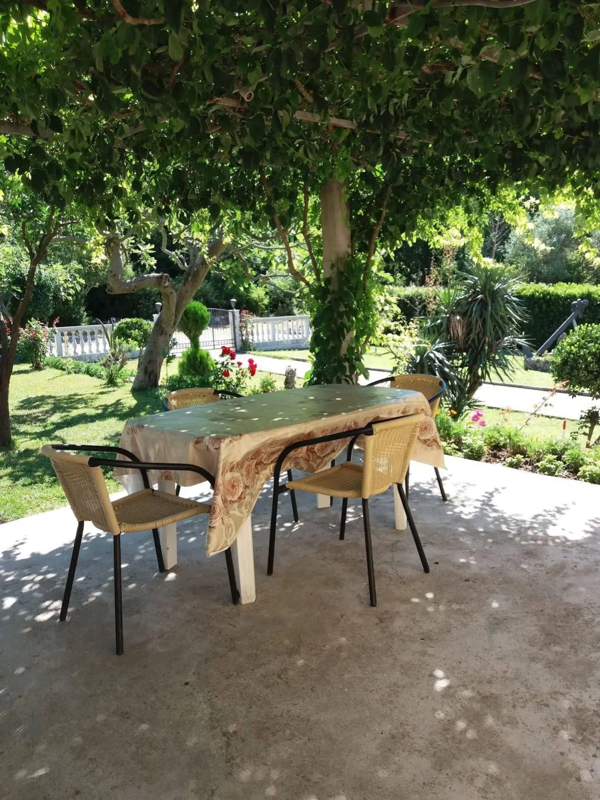 Studio Apartments Petkovic