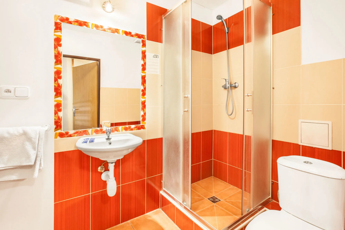 Apartment House Zizkov