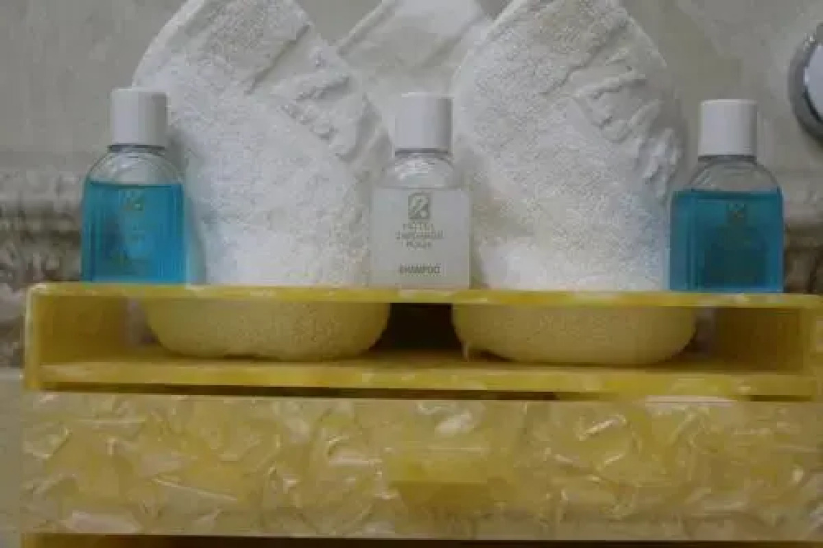 Отель Zargaron Plaza