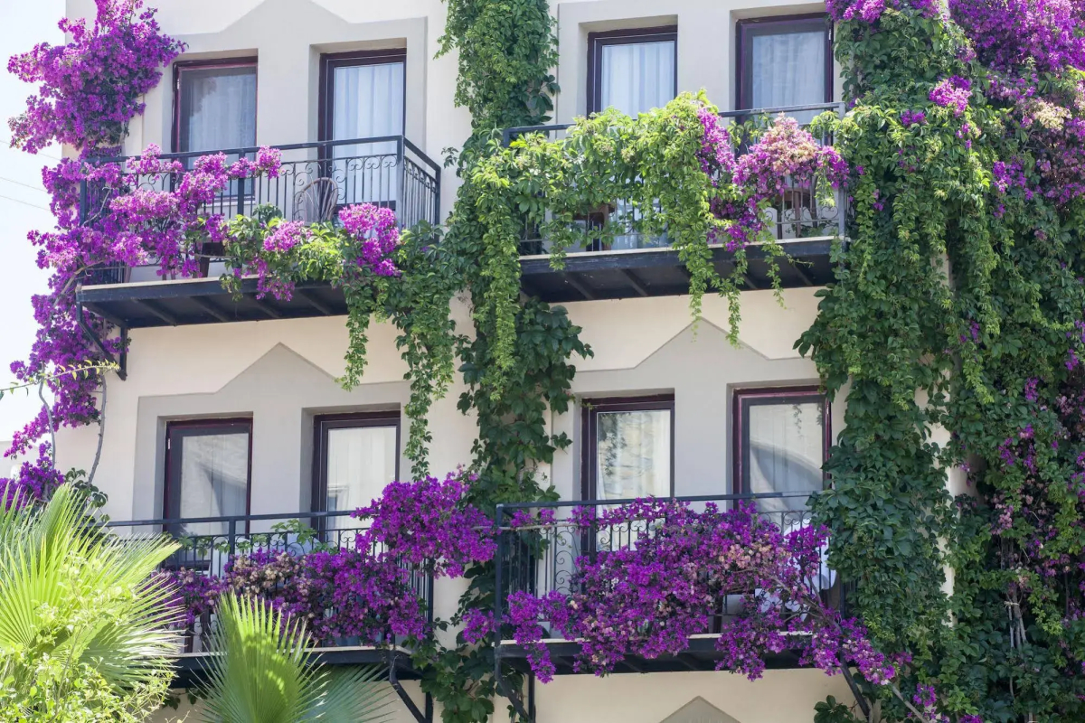 Golden Age Crystal Bodrum - All inclusive