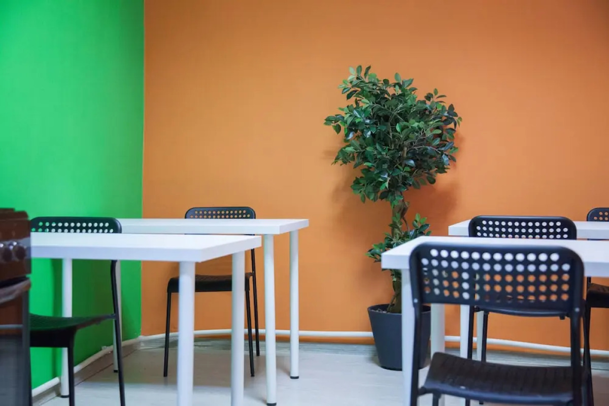 Лебедушка на Достоевского