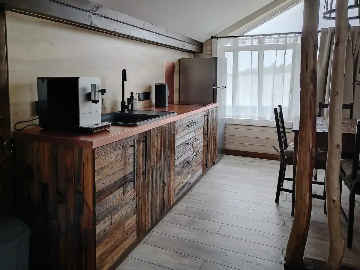 Снежные Гуси Новоснежная