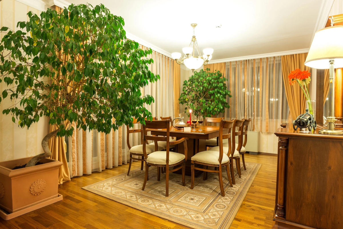 Hotel Romance & Family Suites