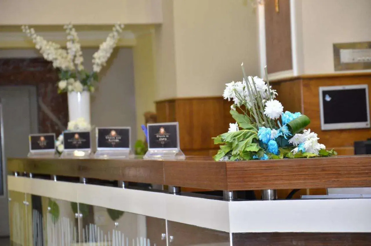 paradise home city stars